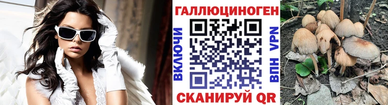 даркнет сайт  гидра ONION  Псилоцибиновые грибы Psilocybe  Хасавюрт 